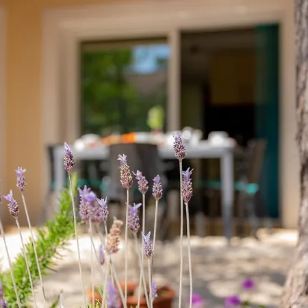 Appartement Rez De Villa Mima Jardin